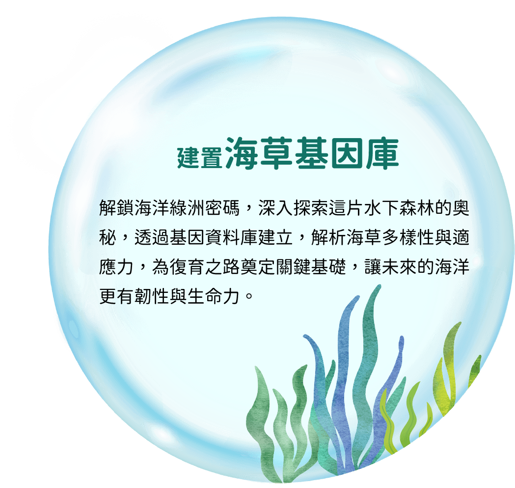 建置海草基因庫