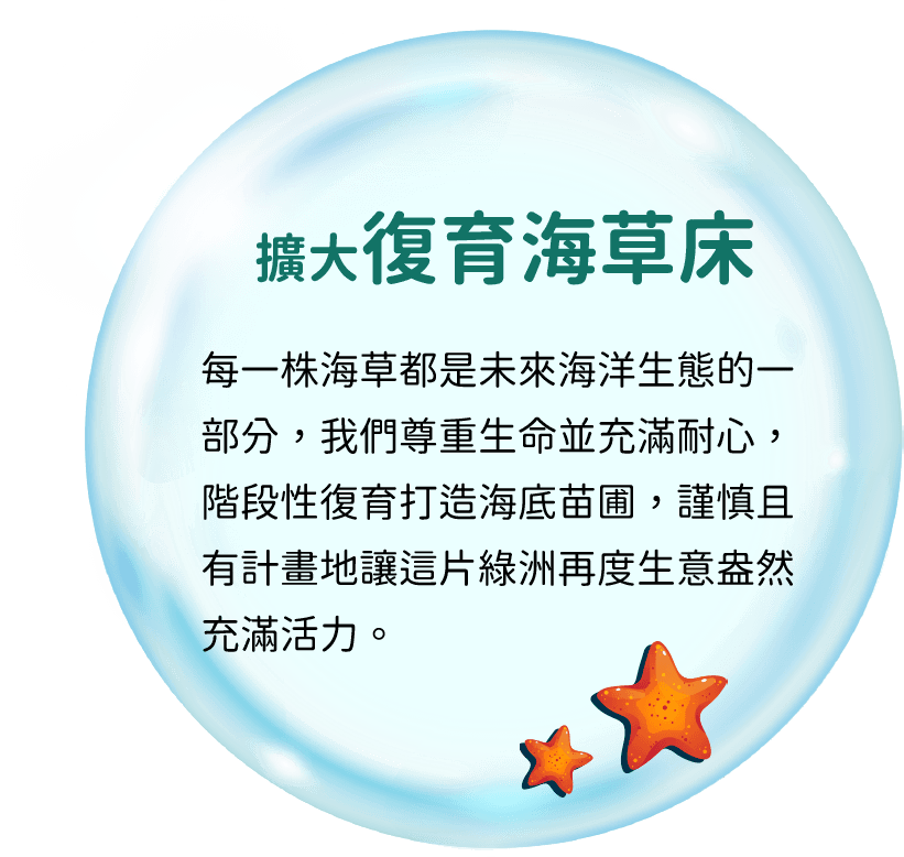 擴大復育海草床